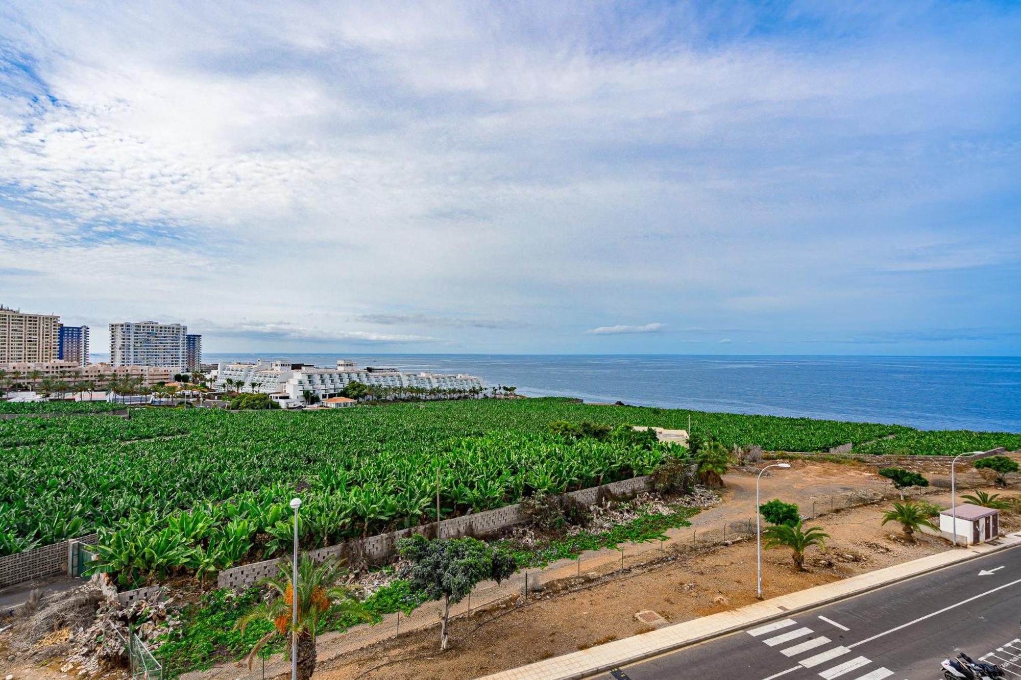 Tropical Views By Sunkeyrents Apartment Callao Salvaje Exterior photo